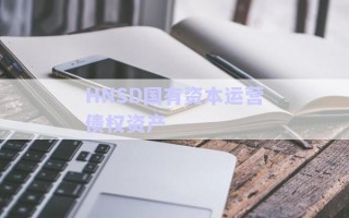 HNSD國有資本運(yùn)營債權(quán)資產(chǎn)