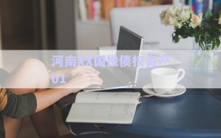 河南XX國投債權資產01