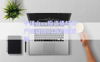 平頂山xx投資債權資產收益權01政府債定融 平頂山xx投資債權資產收益權01政府債定融