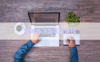 襄城縣漢盛實業債權 襄城縣漢盛實業債權