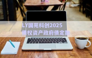 LY國苑科創2025債權資產政府債定融 LY國苑科創2025債權資產政府債定融