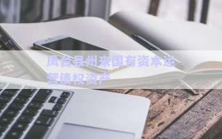 鳳臺縣州來國有資本運營債權資產