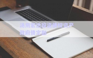 湯陰宏達投資債權資產政府債定融 湯陰宏達投資債權資產政府債定融