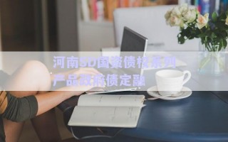 河南SD國資債權系列產品政府債定融
