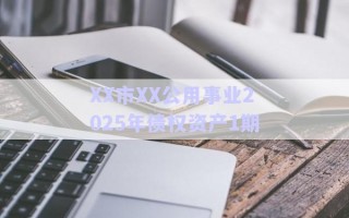 XX市XX公用事業2025年債權資產1期