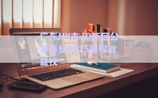 廣東HY市JD新區公用事業2025債權收益權