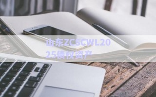 山東ZCSCWL2025債權資產(chǎn)