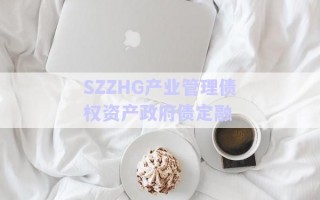 SZZHG產業管理債權資產政府債定融