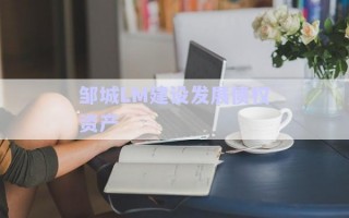 鄒城LM建設(shè)發(fā)展債權(quán)資產(chǎn) 鄒城LM建設(shè)發(fā)展債權(quán)資產(chǎn)