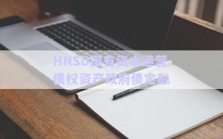 HNSD國有資本運(yùn)營債權(quán)資產(chǎn)政府債定融