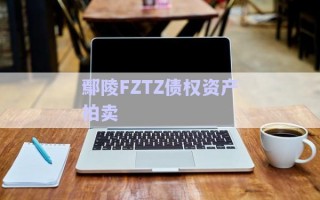 鄢陵FZTZ債權資產拍賣