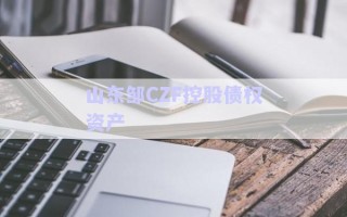 山東鄒CZF控股債權資產 山東鄒CZF控股債權資產