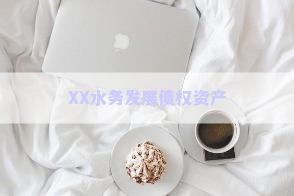 XX水務發展債權資產-第1張圖片-政信固收網