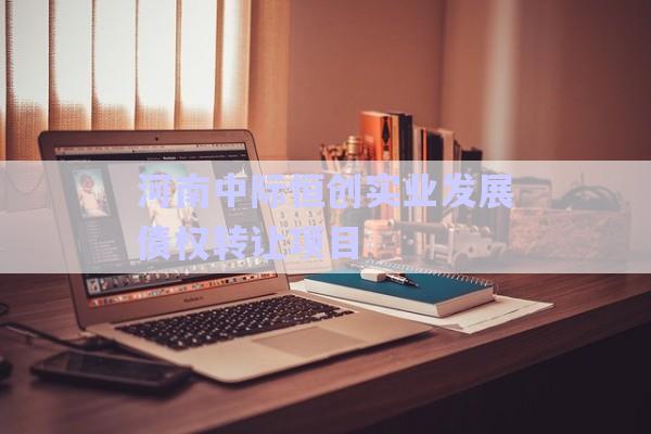 河南中際恒創實業發展債權轉讓項目-第1張圖片-政信固收網
