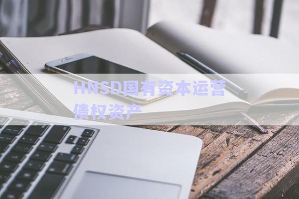 HNSD國有資本運營債權資產-第1張圖片-政信固收網