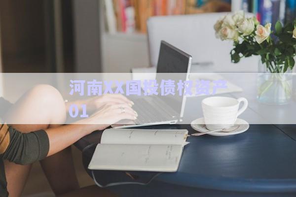 河南XX國投債權資產01-第1張圖片-政信固收網