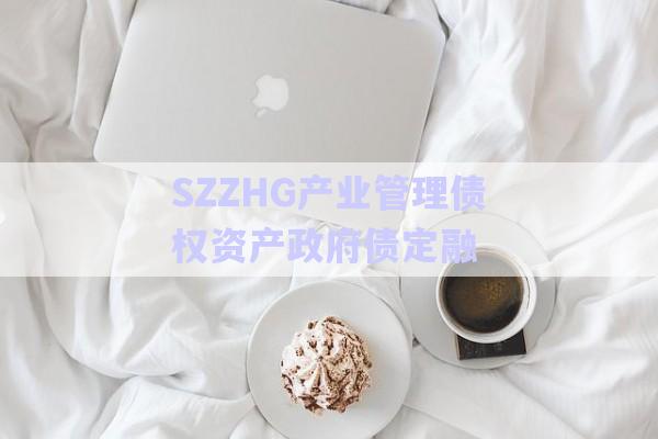 SZZHG產業管理債權資產政府債定融-第1張圖片-政信固收網